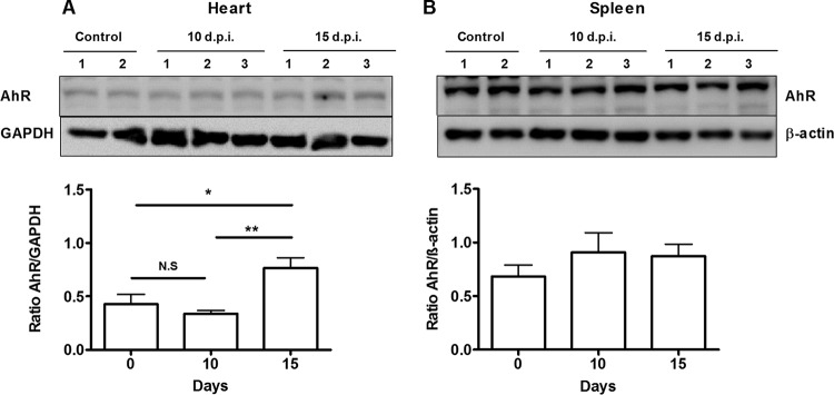 FIG 1