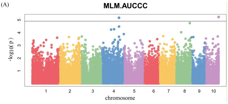 Figure 6