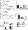 FIGURE 7: