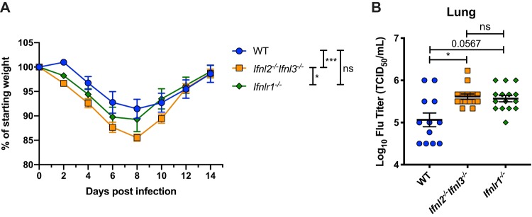 FIG 5