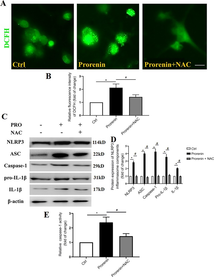 Fig. 7