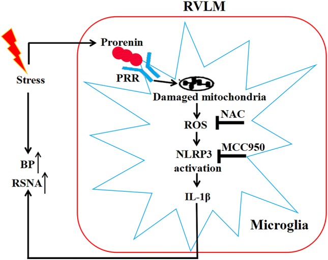 Fig. 9