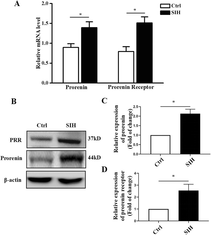 Fig. 1