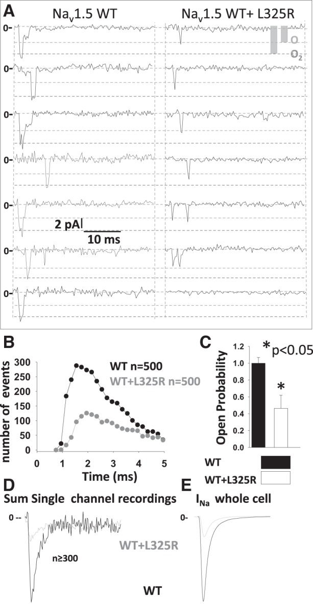 Fig. 3.