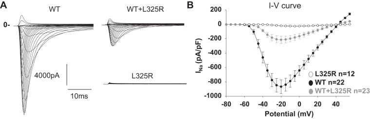 Fig. 1.