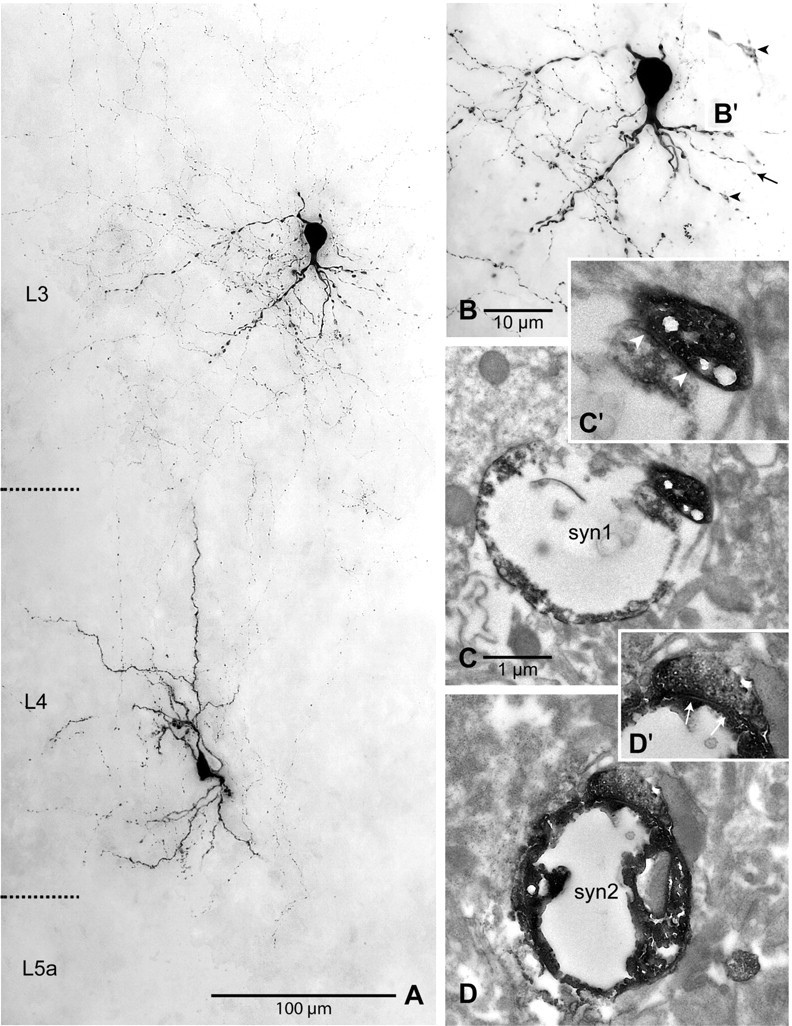 Figure 12.