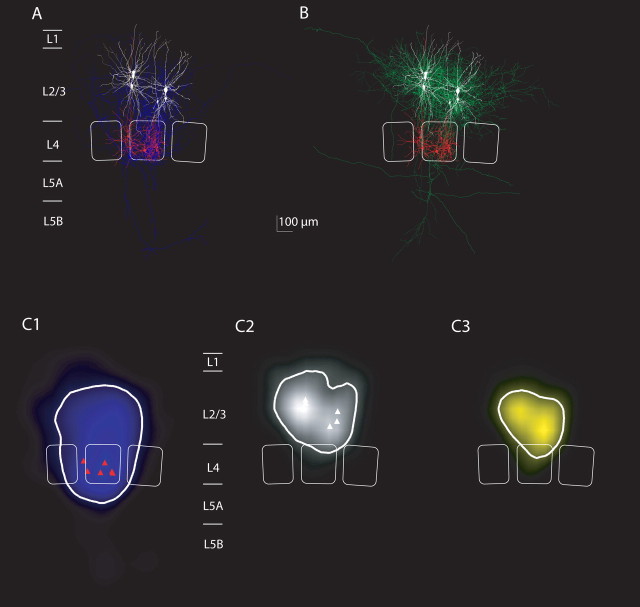 Figure 10.