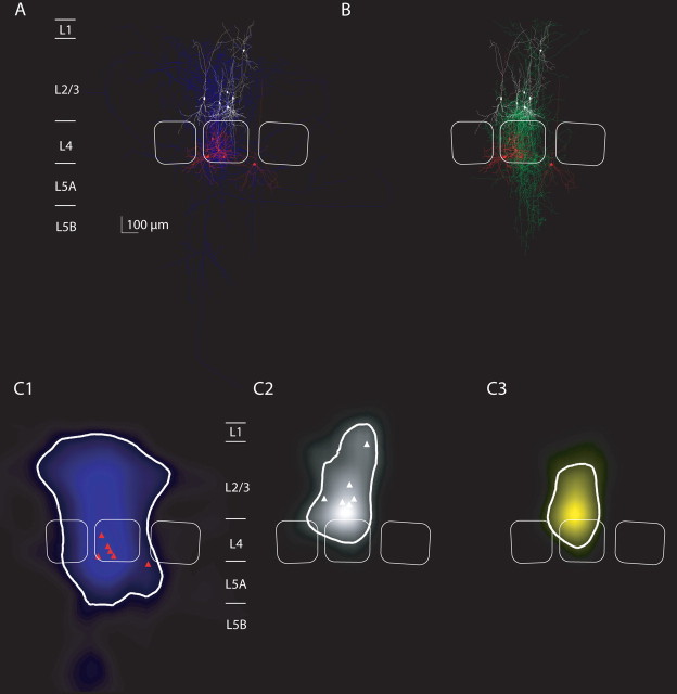 Figure 11.