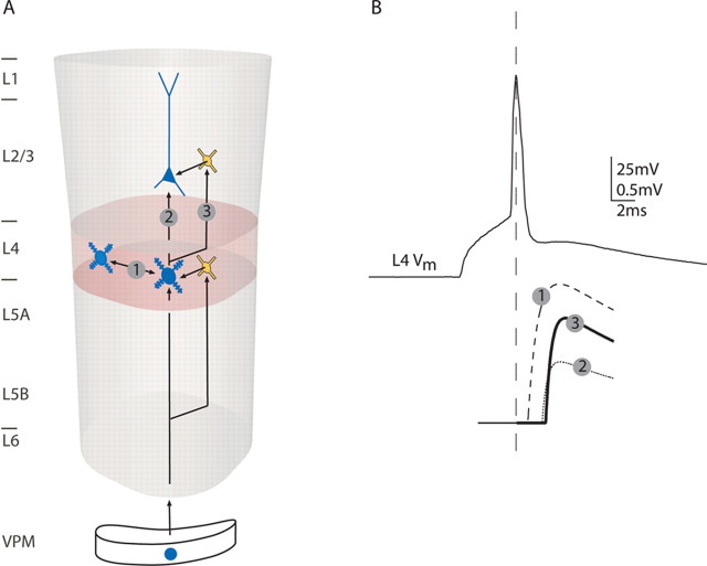 Figure 13.