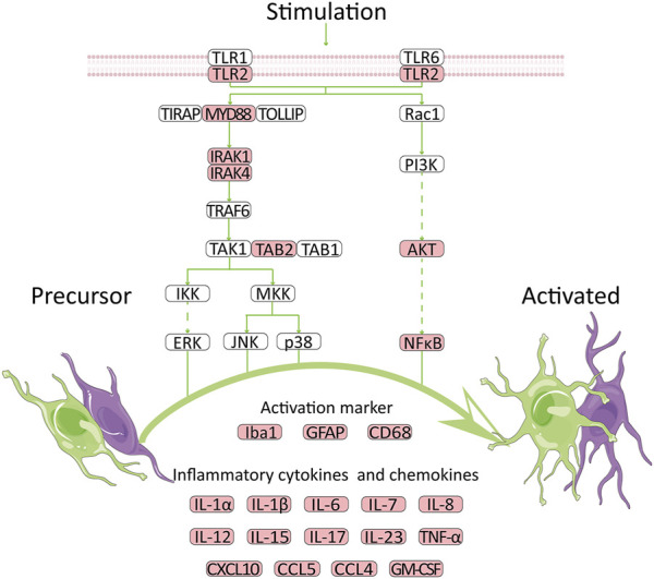 FIGURE 7