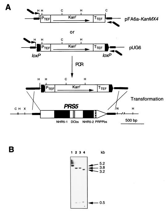 FIG. 1