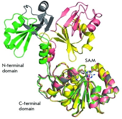 Fig. 2