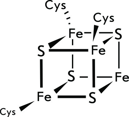 Fig. 9