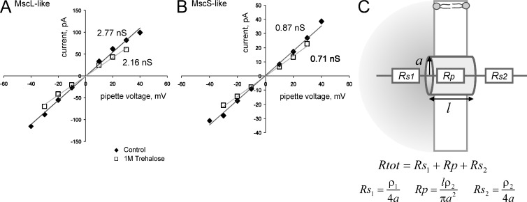 Figure 7.