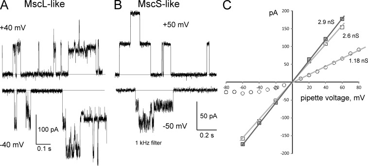 Figure 3.