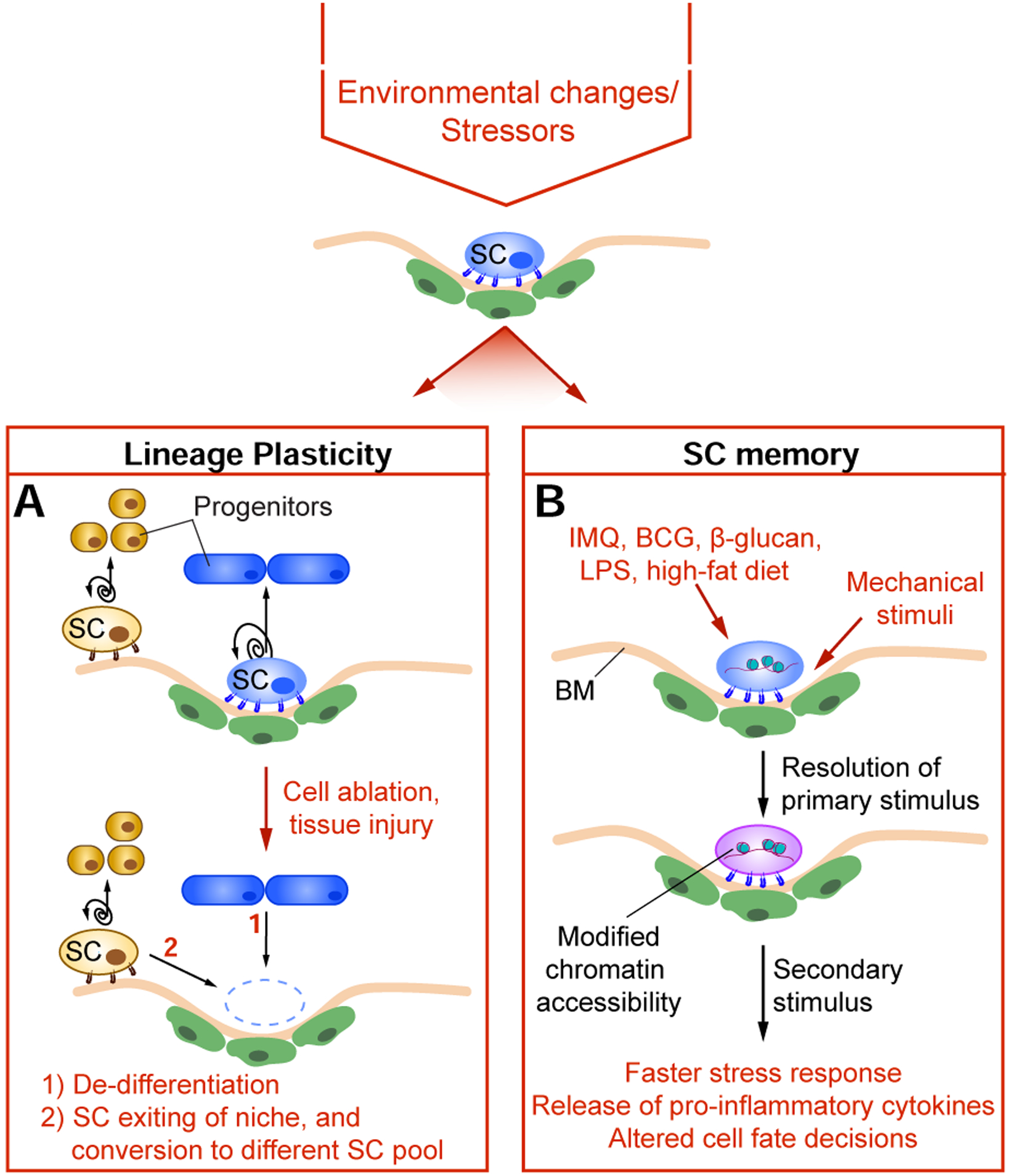 Figure 2: