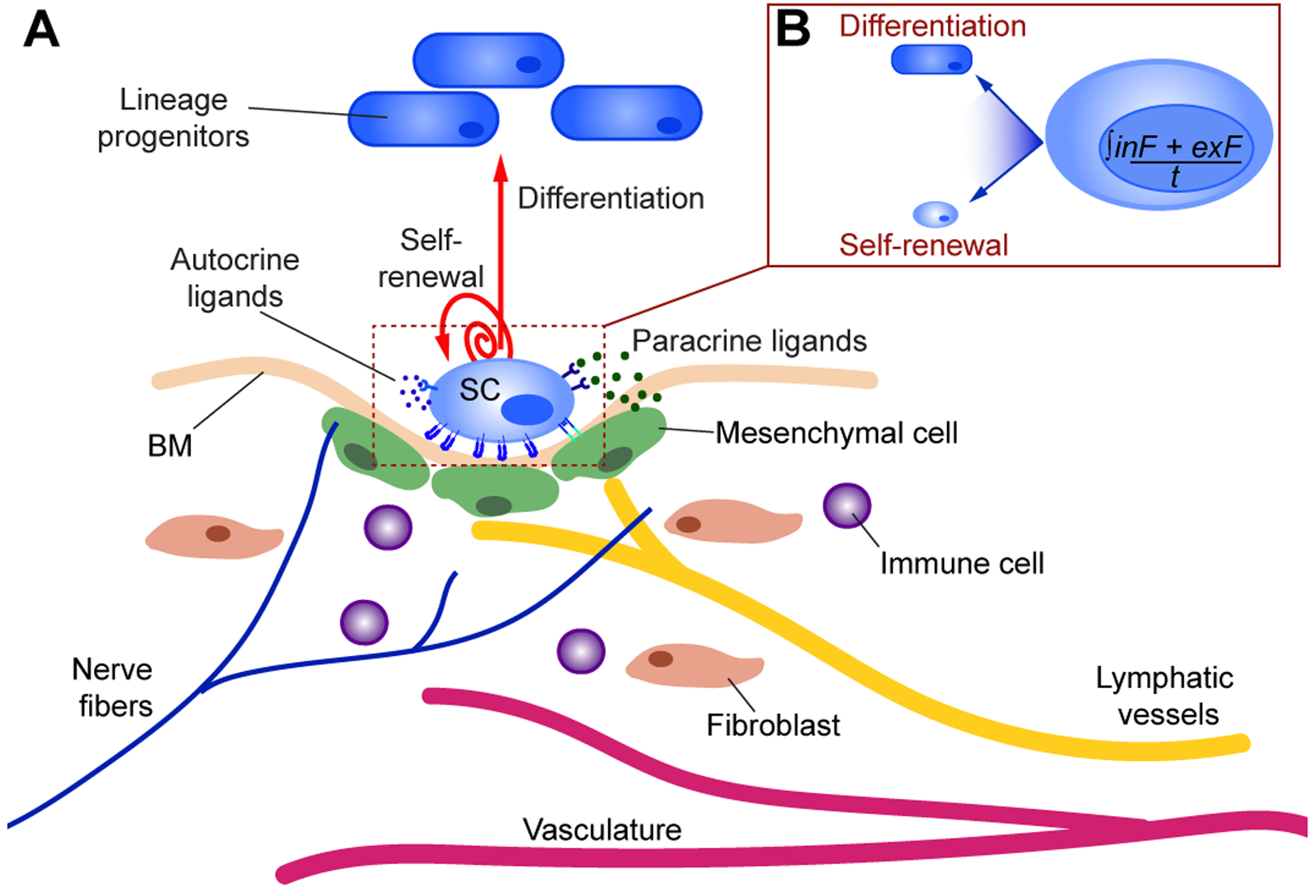 Figure 1: