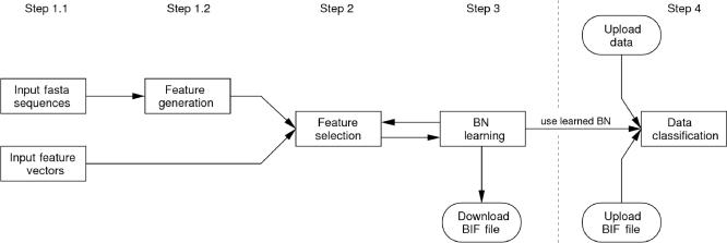 Figure 1.