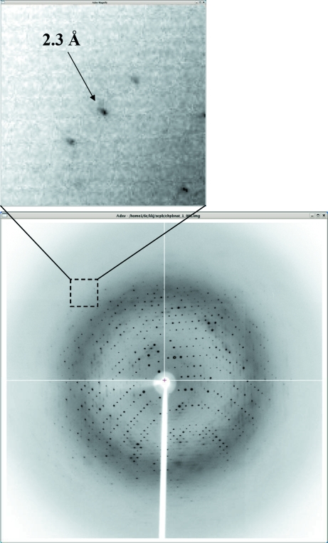 Figure 2