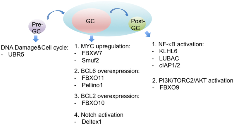 Fig.2