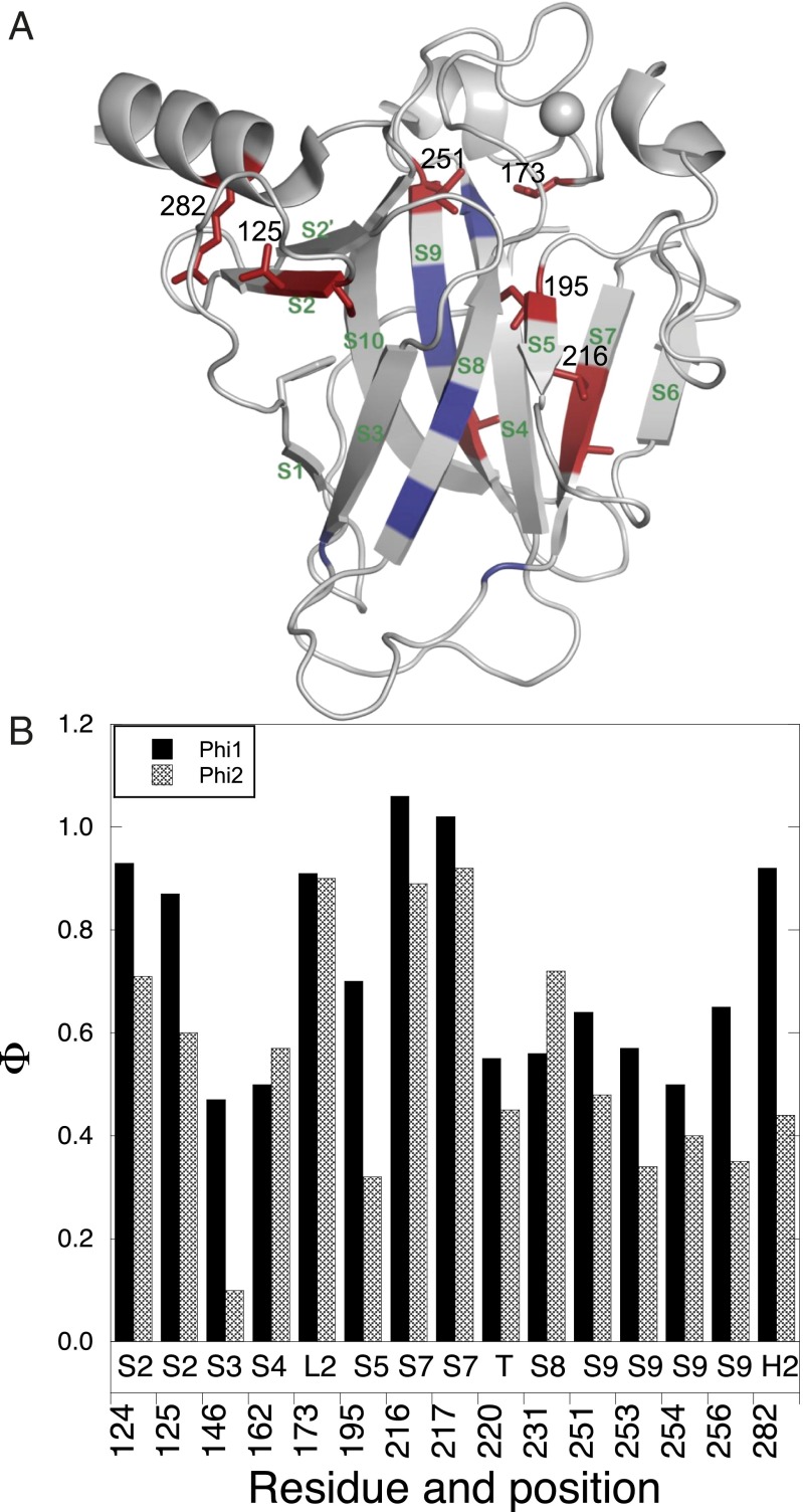 Fig. 6.