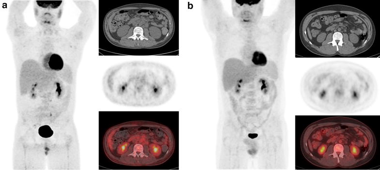 Fig. 4