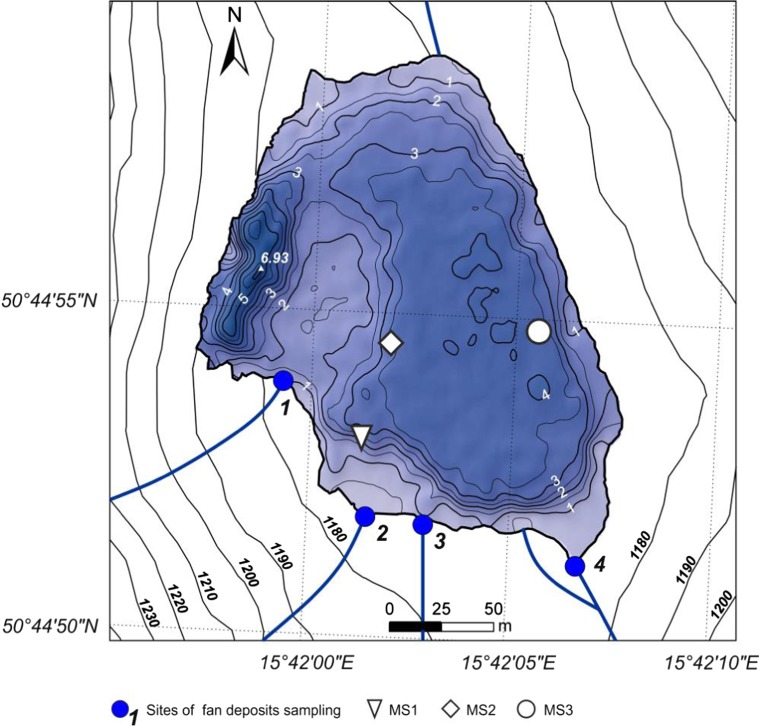 Fig. 4