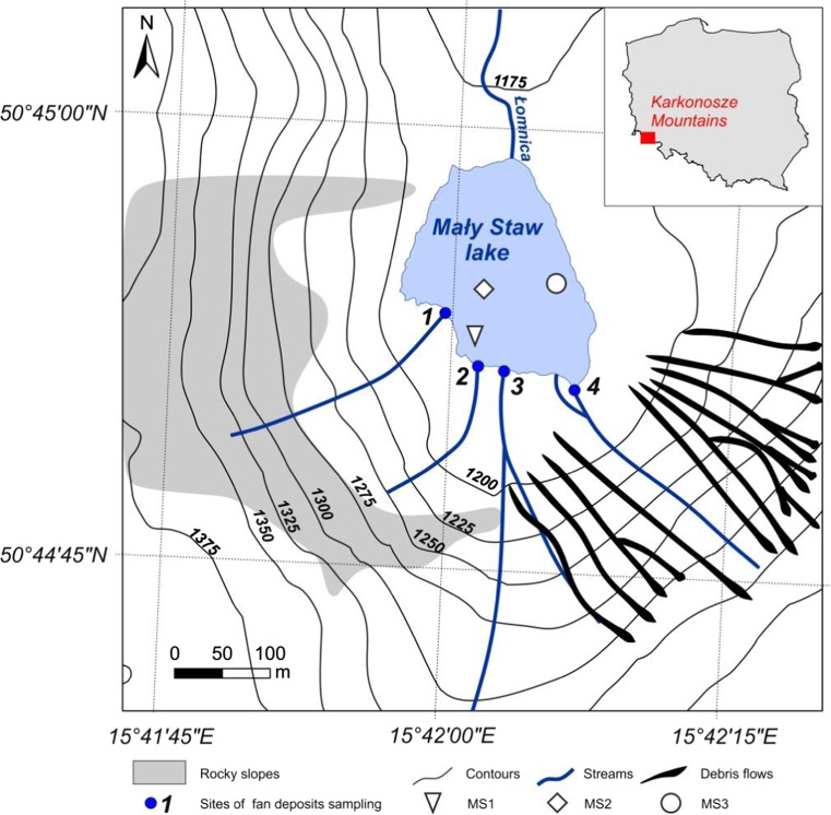 Fig. 1