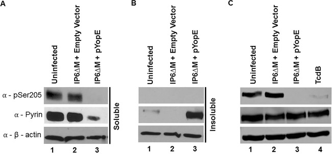 FIG 2