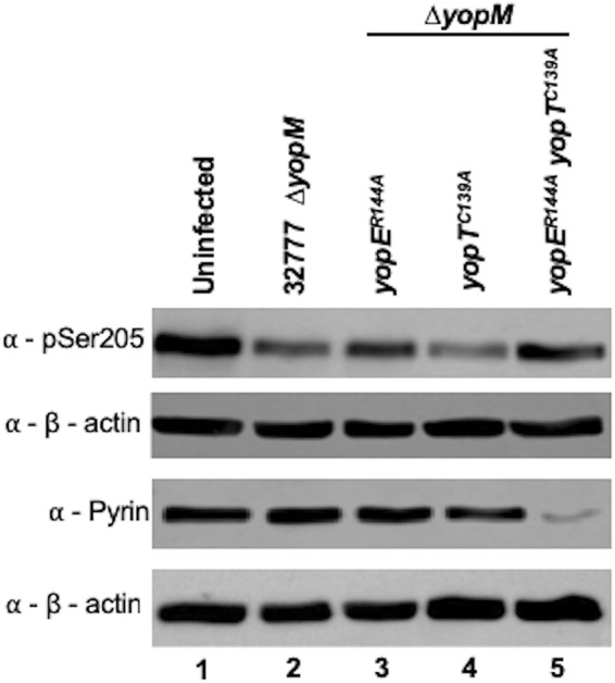 FIG 6