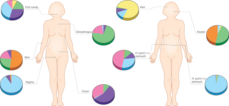 Figure 1: