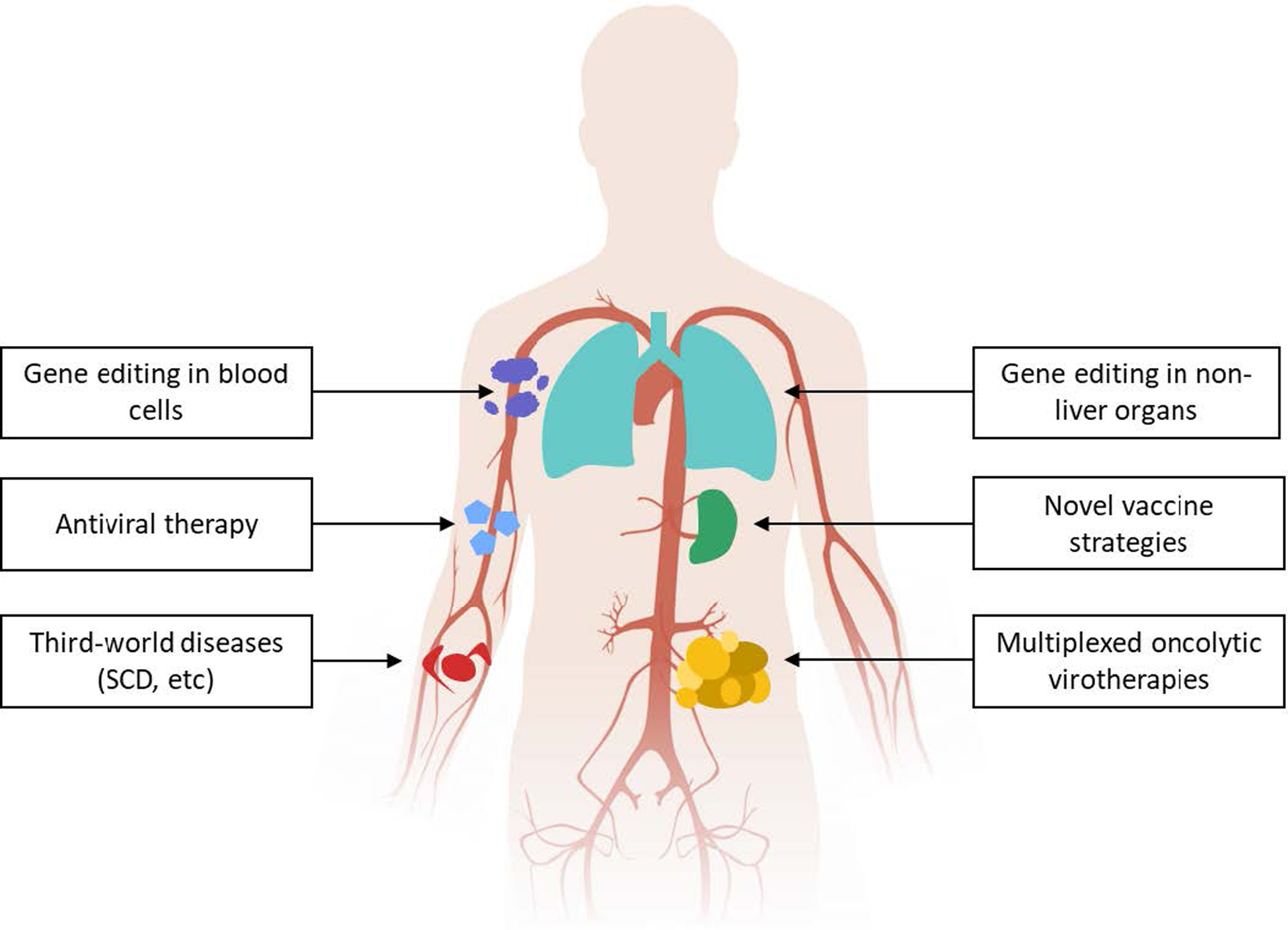 Figure 5: