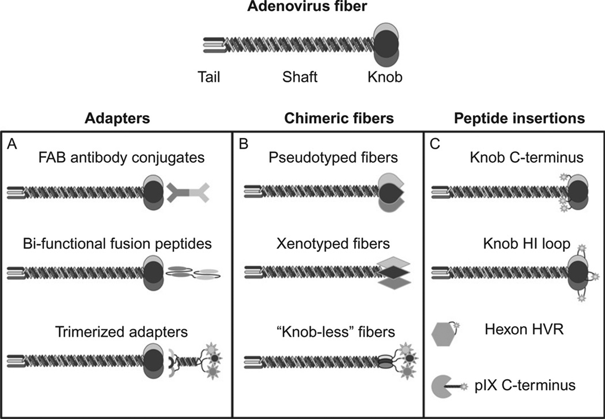 Figure 3: