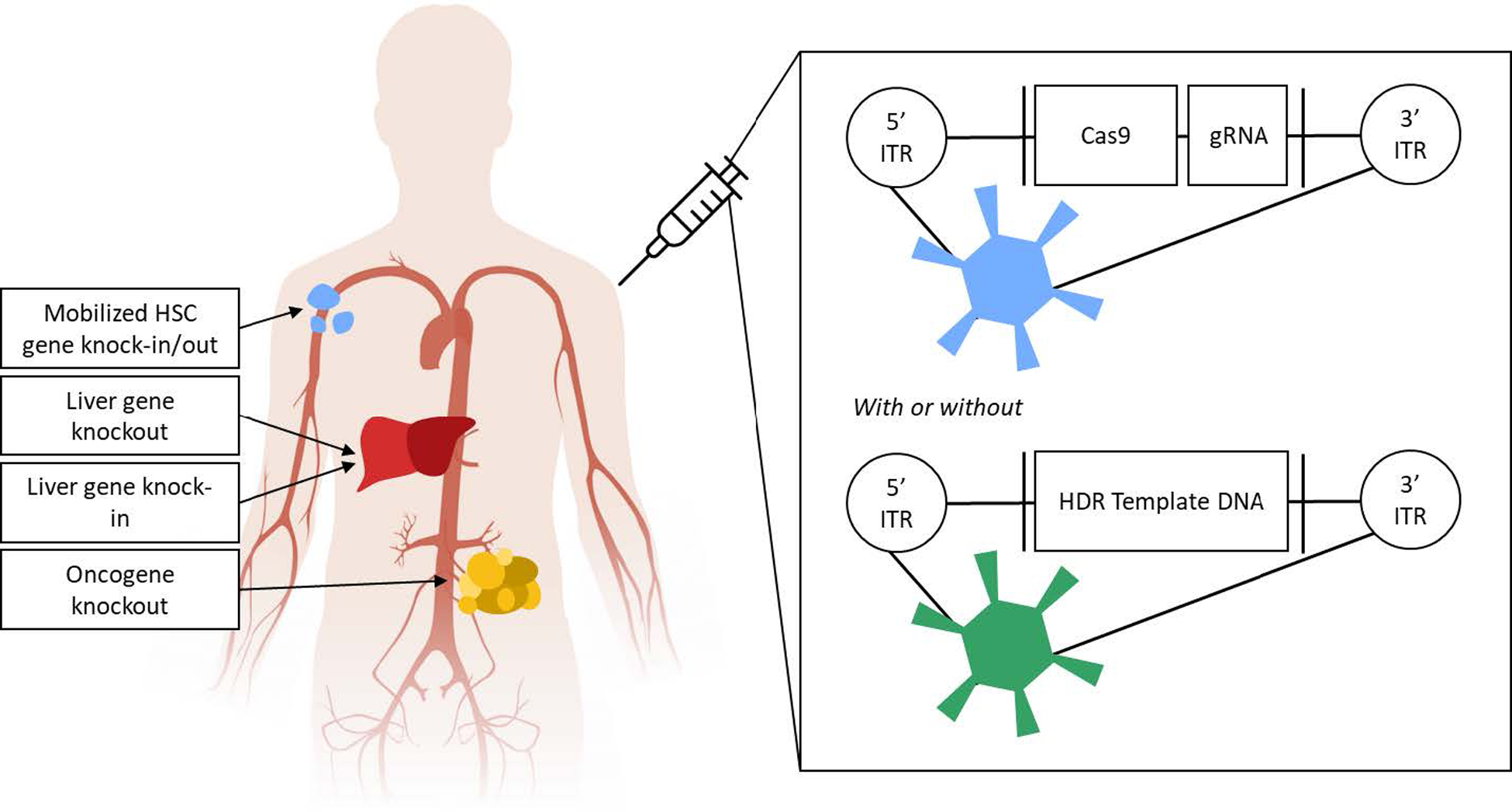 Figure 4: