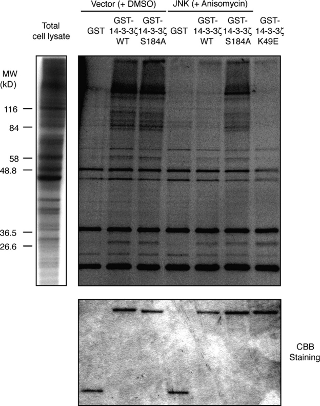 Figure 7.