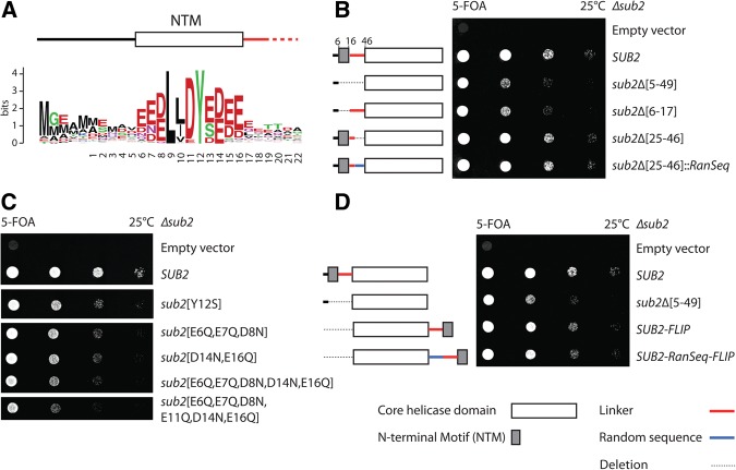 FIGURE 1.