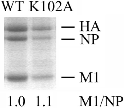 FIG. 7.