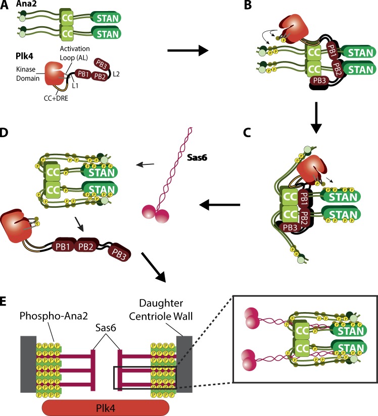 Figure 6.