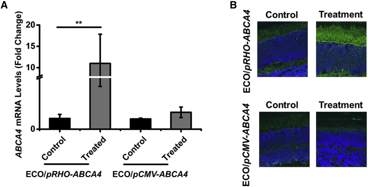 Figure 6