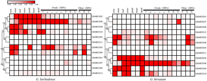 Fig 7