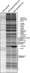 FIG. 7.