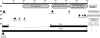 FIG. 8.