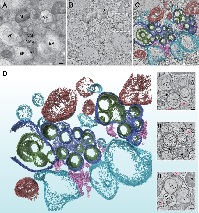 FIG. 6.