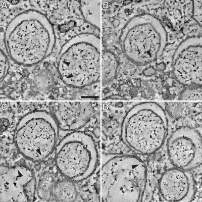 FIG. 7.