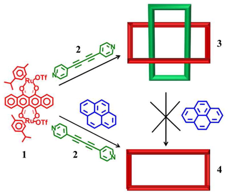 Scheme 1