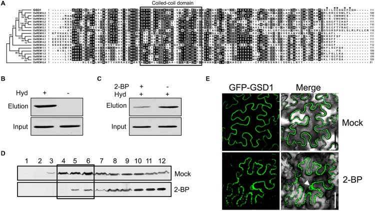 FIGURE 3