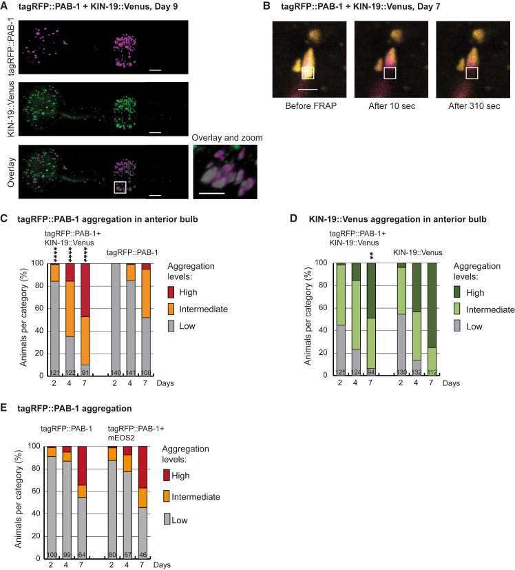 Figure 6