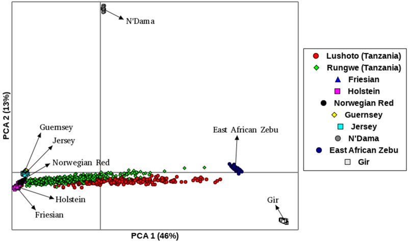 FIGURE 2