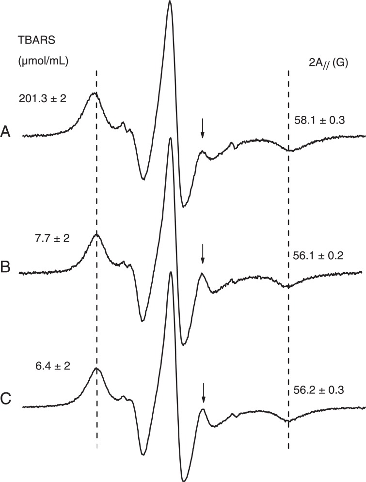 Figure 7.