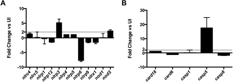 FIG 6